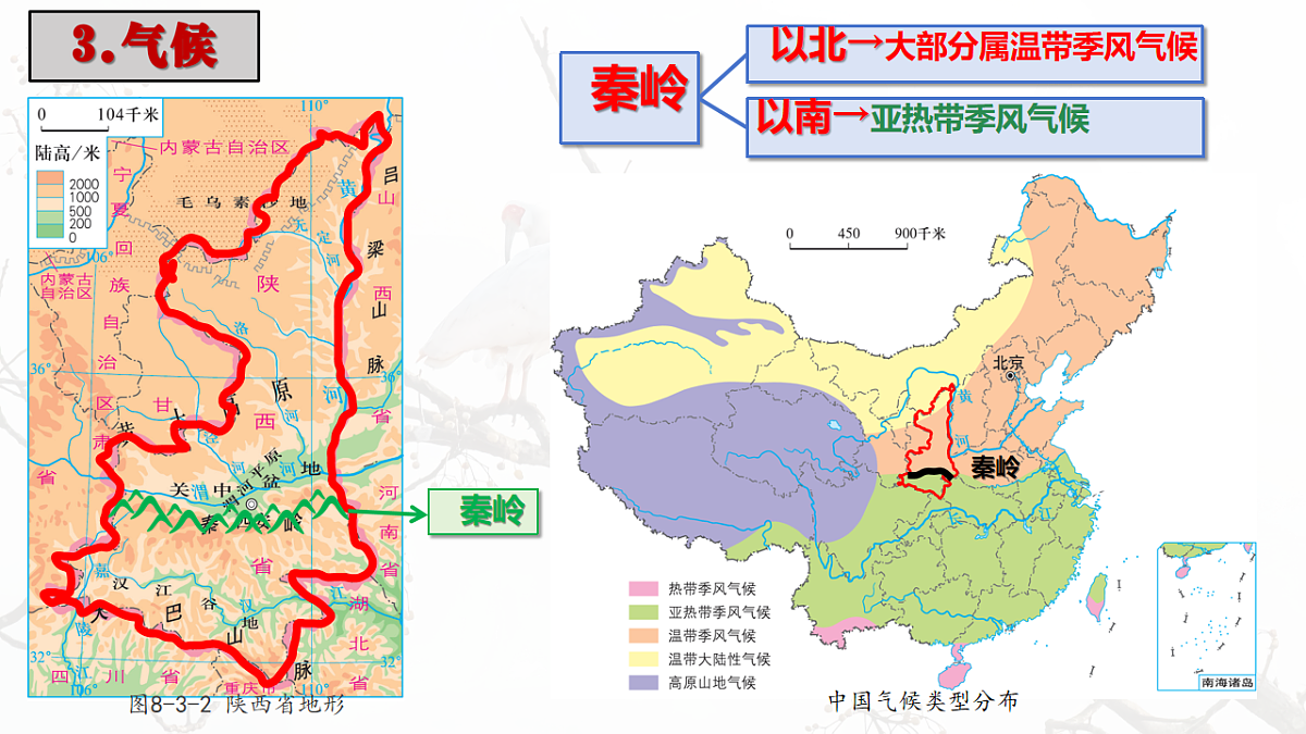 18208657第7页