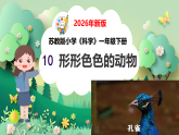 第10课 形形色色的动物 课件（内嵌视频）2025-2026学年科学一年级下册苏教版