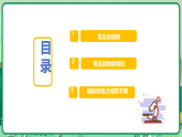 第10课 形形色色的动物 课件（内嵌视频）2025-2026学年科学一年级下册苏教版