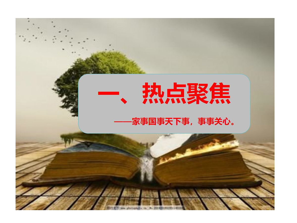 18209147第3页