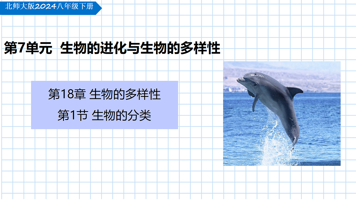 18209274第1页