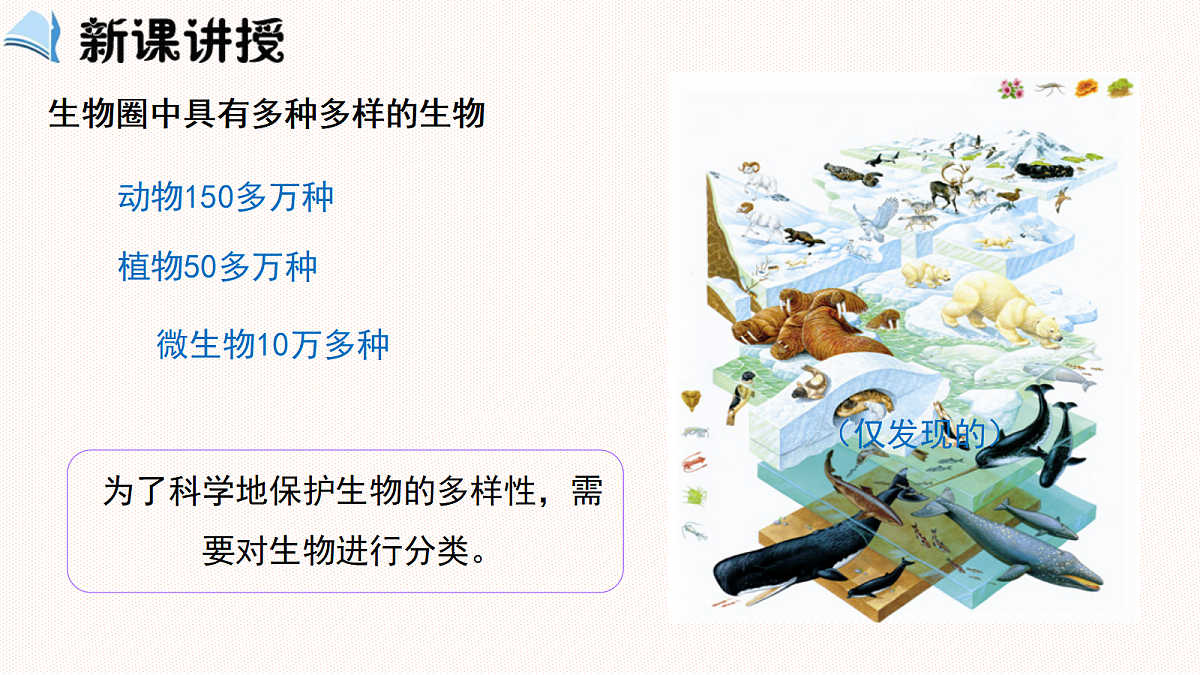 18209274第3页