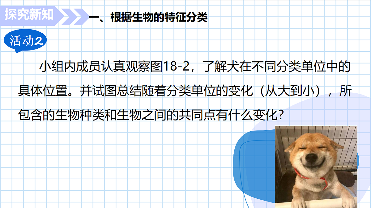 18209274第8页