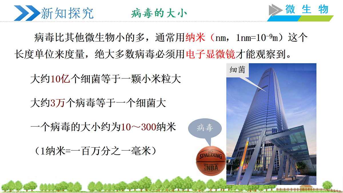 18209300第7页