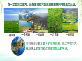 初中  生物  北师大版（2024）  八年级下册8.20.2  生态系统的组成 课件