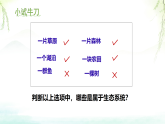 初中  生物  北师大版（2024）  八年级下册8.20.2  生态系统的组成 课件