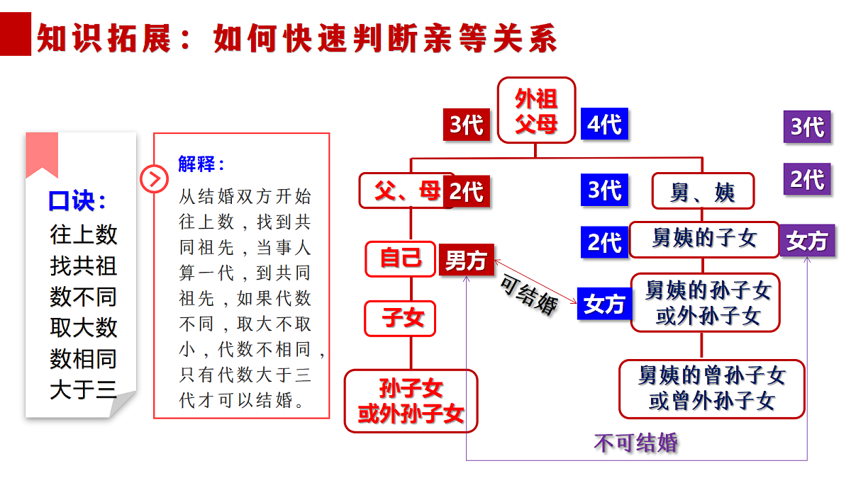18212079第7页