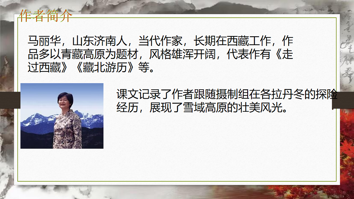 18213062第2页