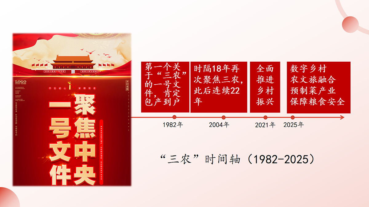 18213203第5页