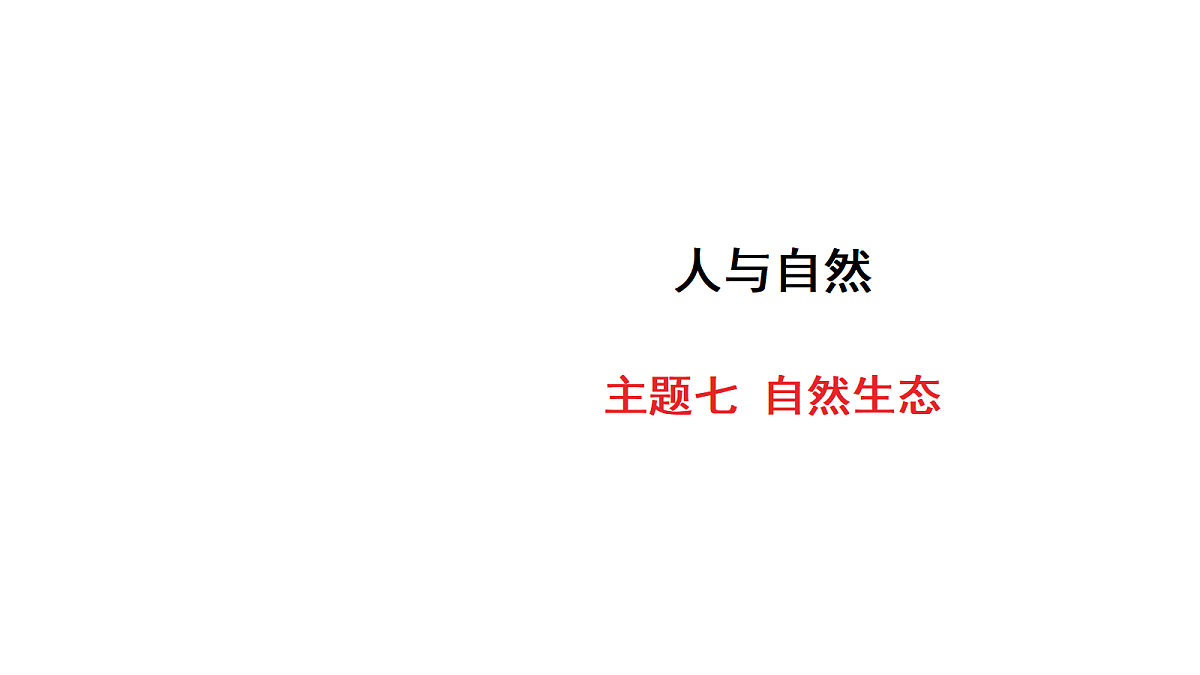 18213378第1页