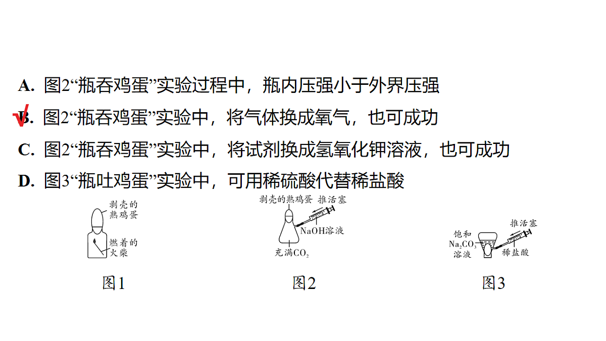 18213973第7页