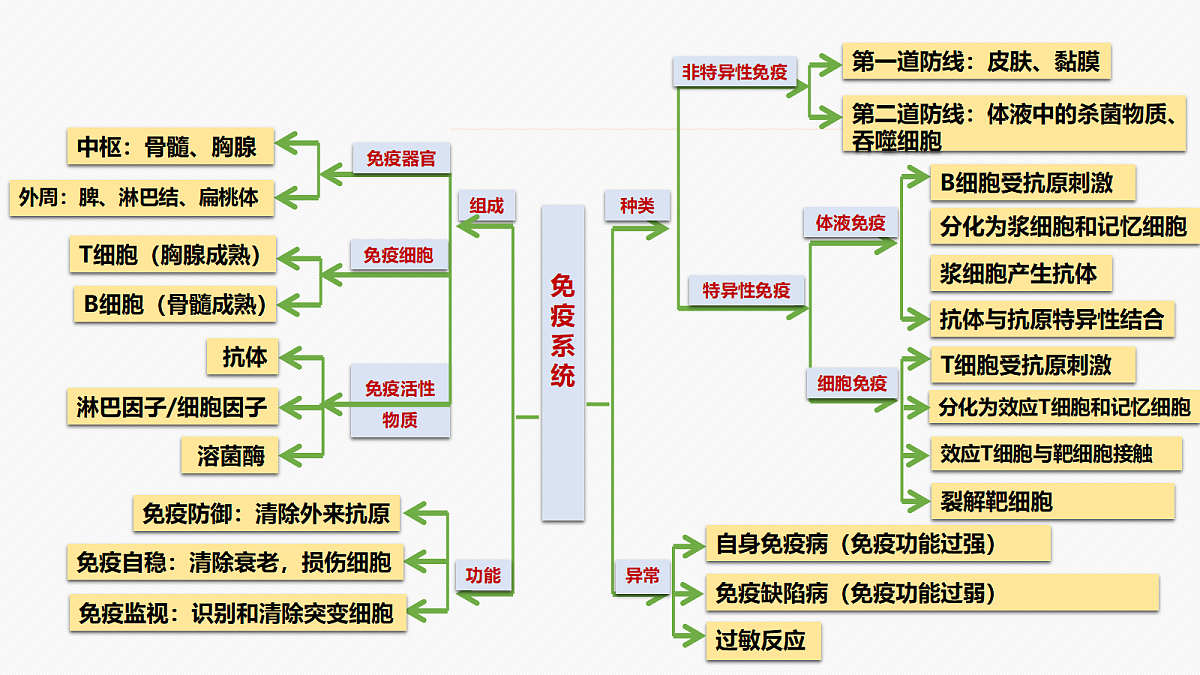 18214060第2页
