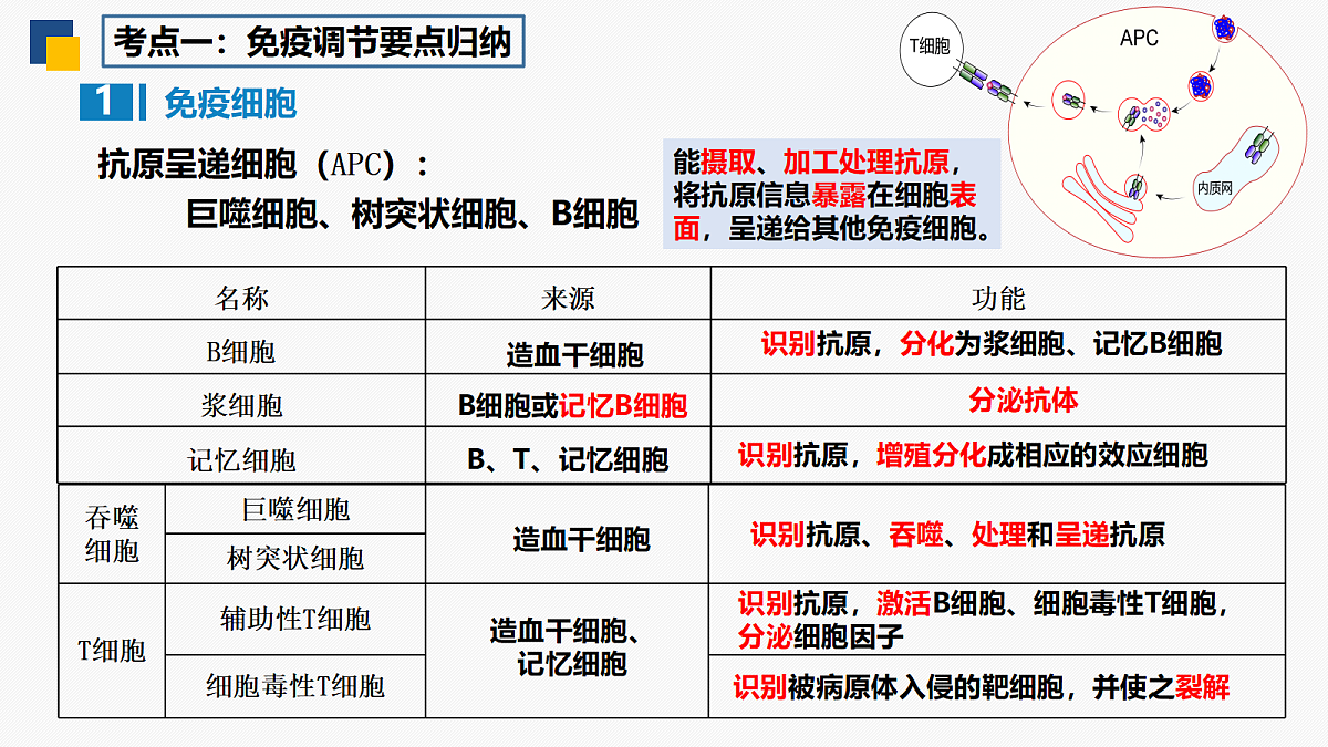 18214060第3页