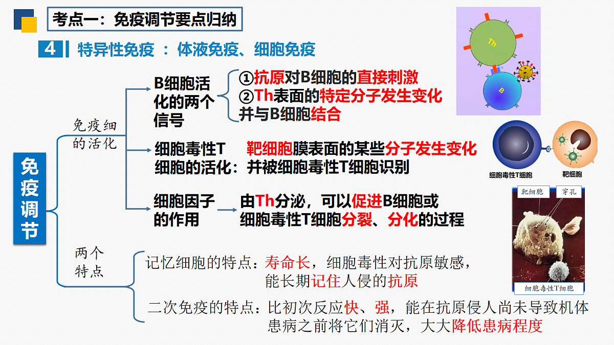 18214060第8页