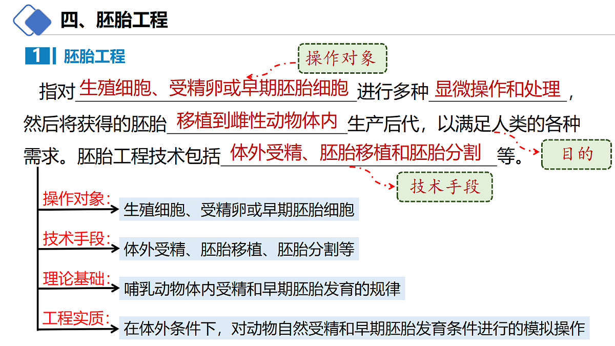 18214063第3页