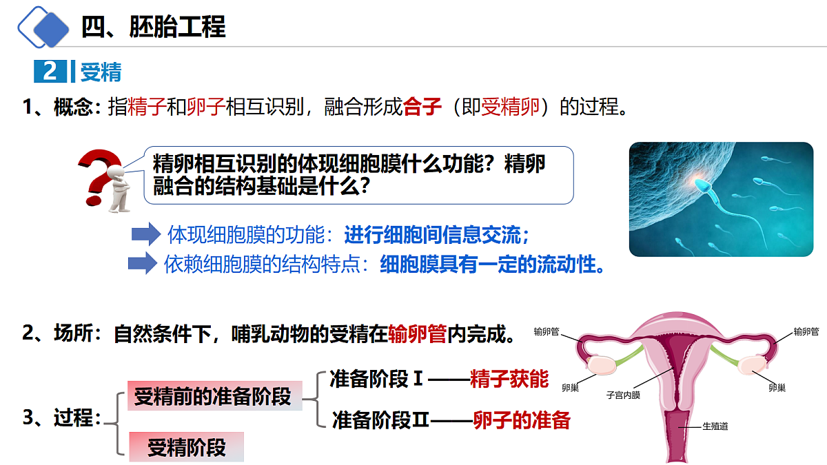 18214063第4页