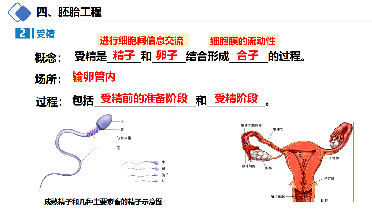 18214063第5页