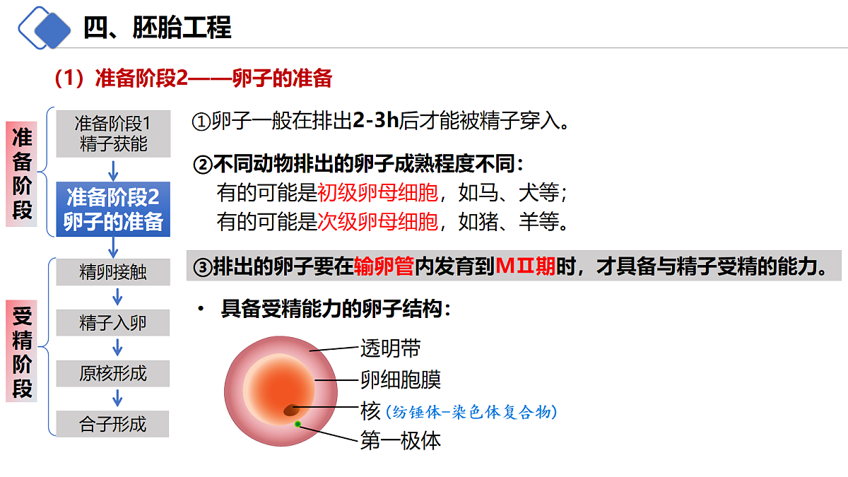 18214063第7页