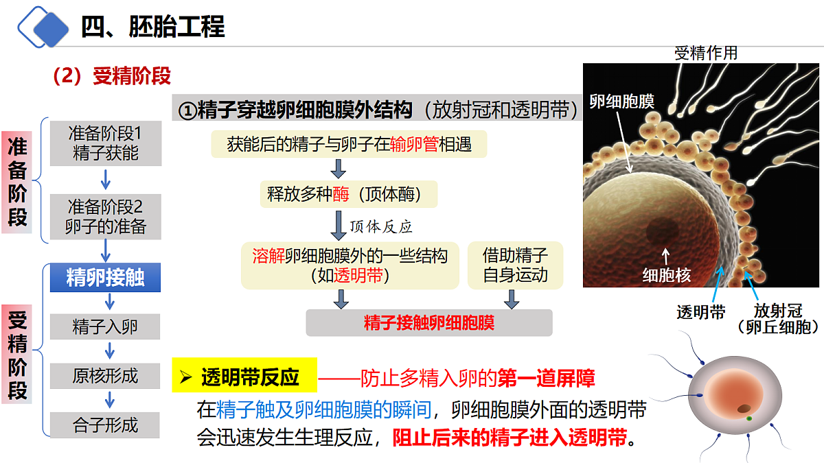 18214063第8页