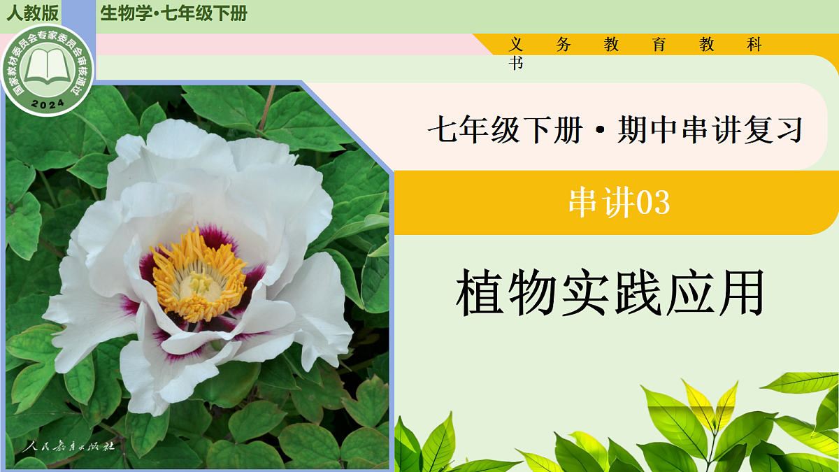 18214070第1页
