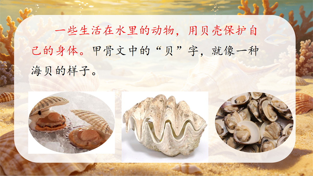 18214526第8页