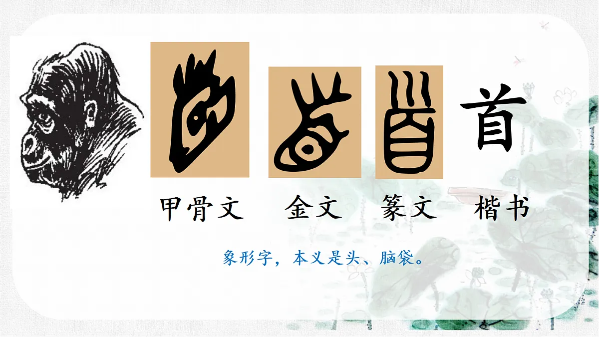 18214878第2页