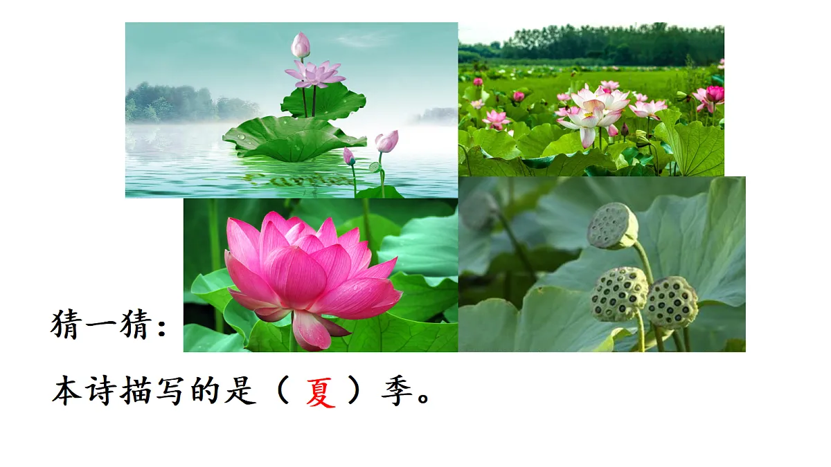 18214878第5页