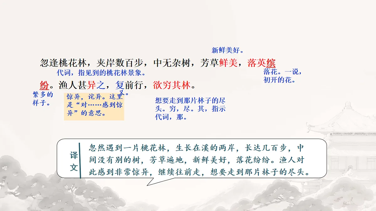 18214910第8页