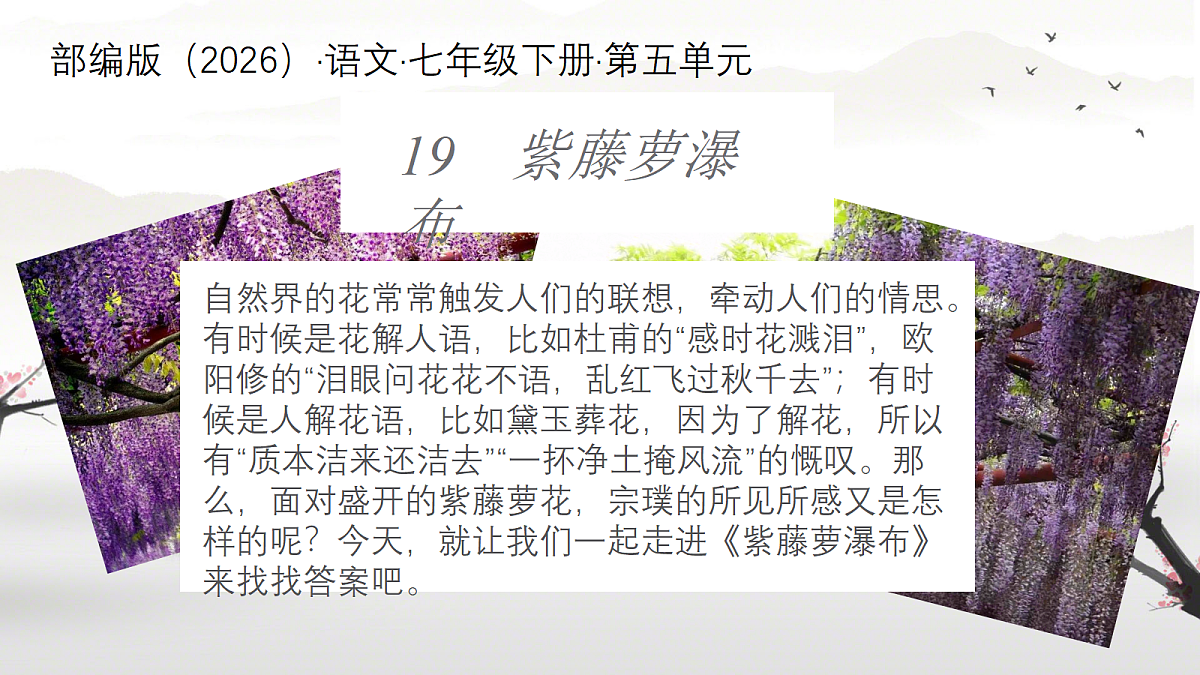 18214911第1页