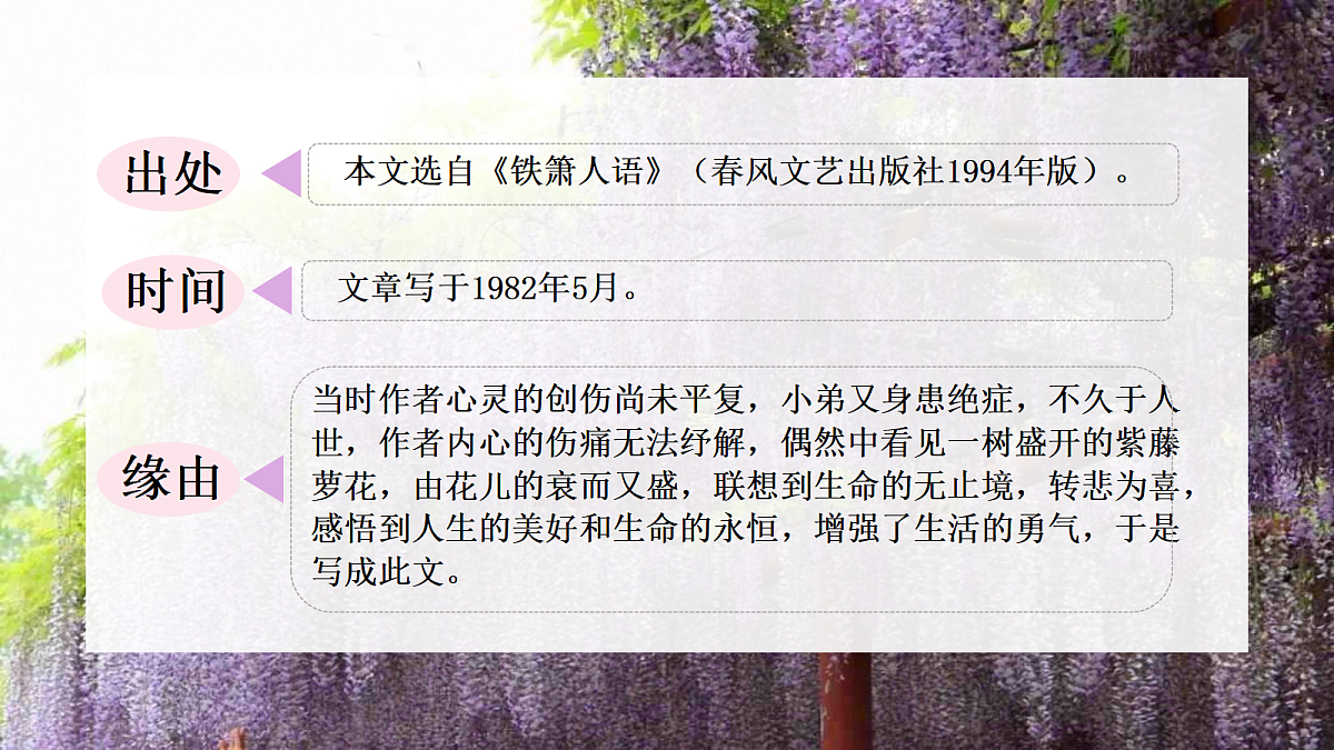 18214911第2页