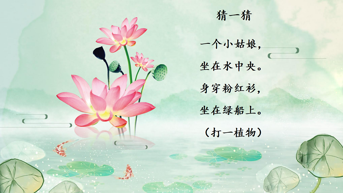 18214981第2页