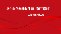 初中微生物的结构与生殖课文课件ppt