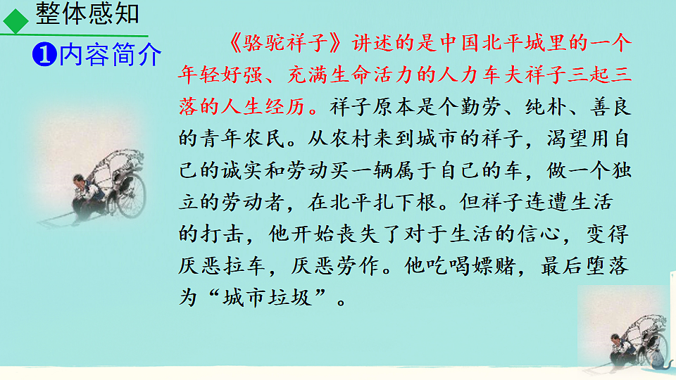 18215107第7页