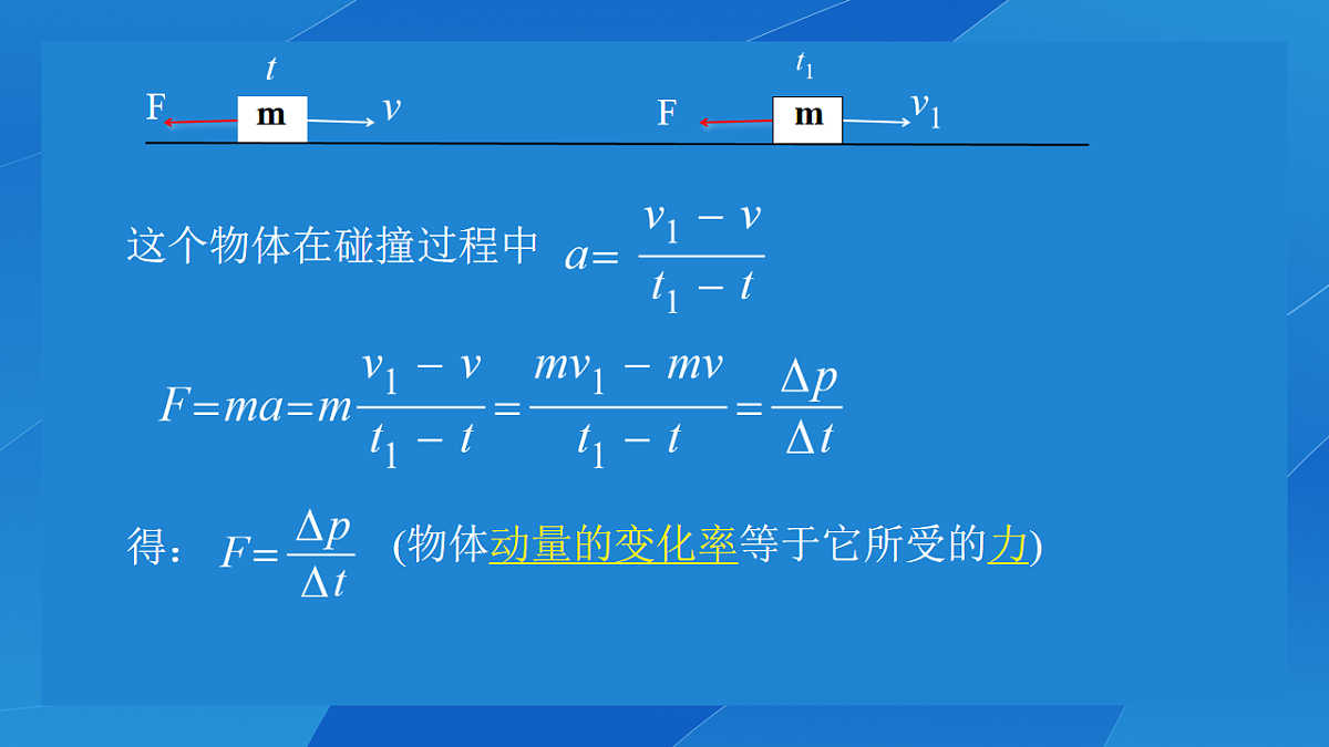 18215834第3页