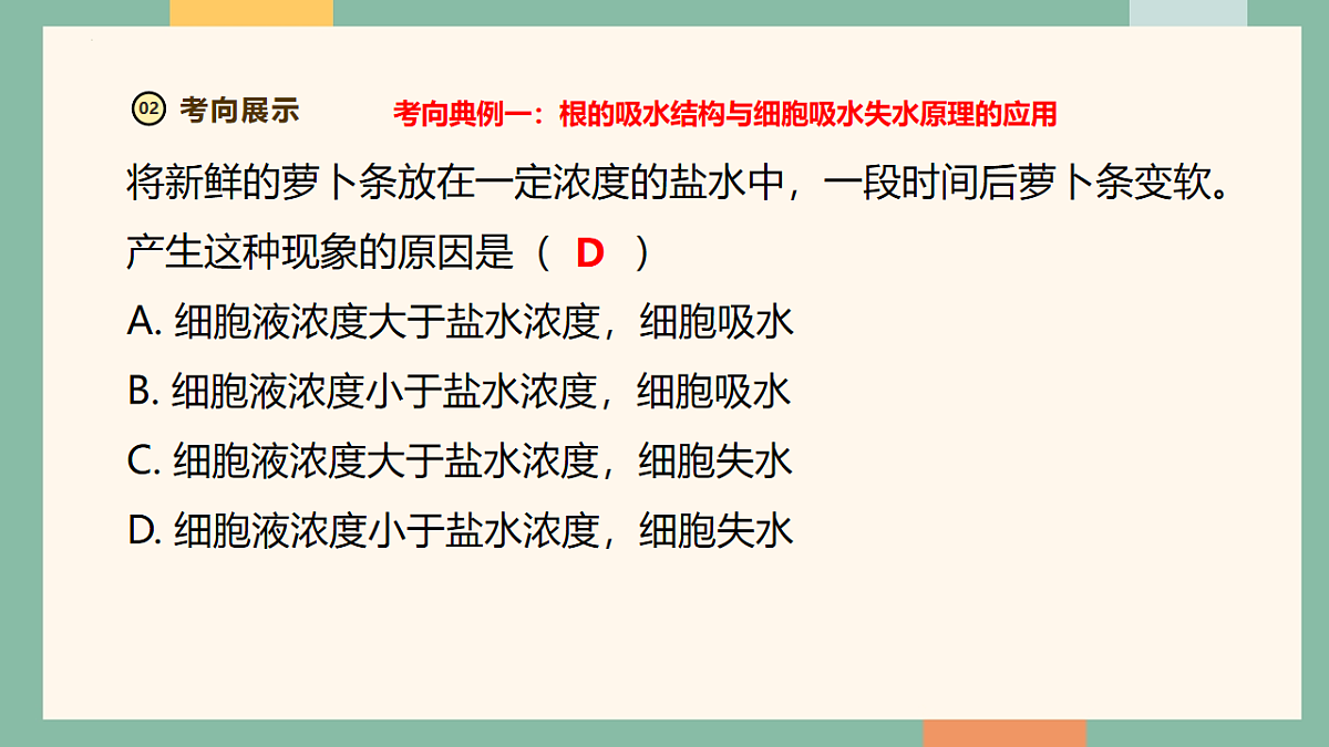18216018第7页