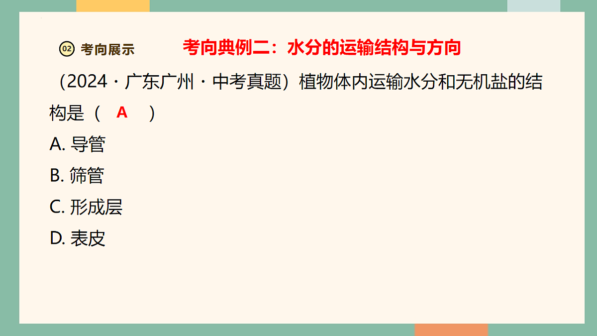 18216018第8页