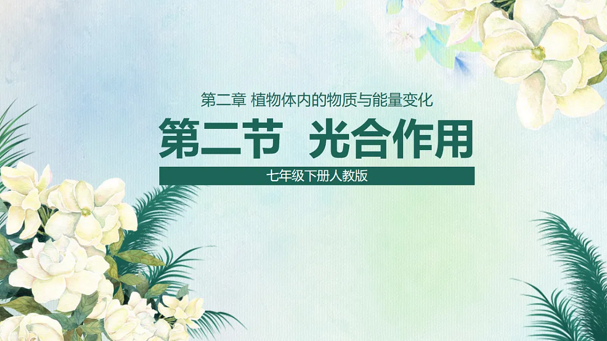 18216019第1页