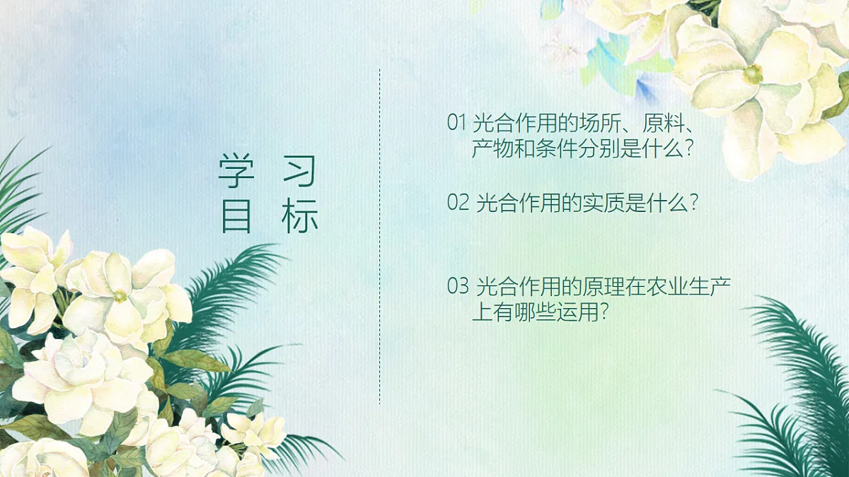 18216019第2页