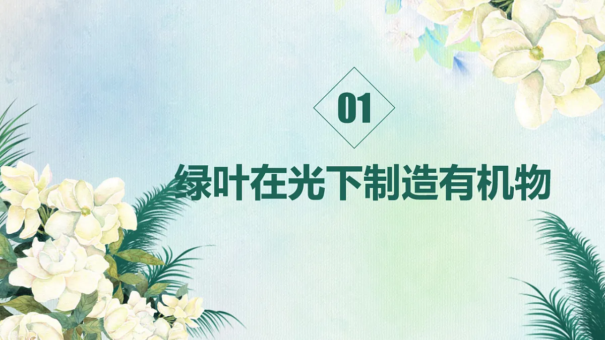 18216019第3页