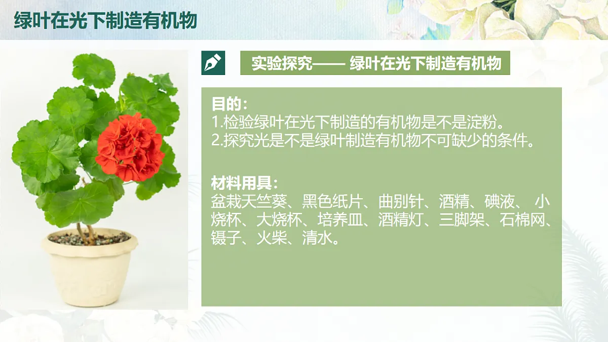 18216019第5页