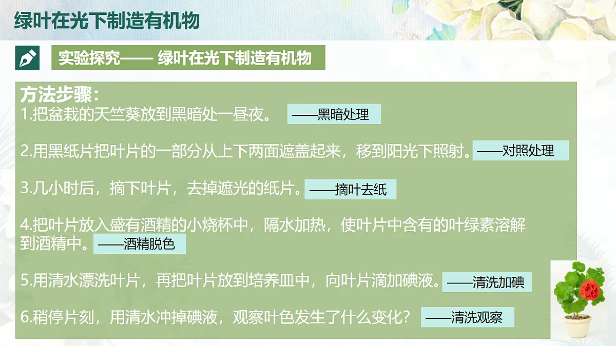 18216019第6页