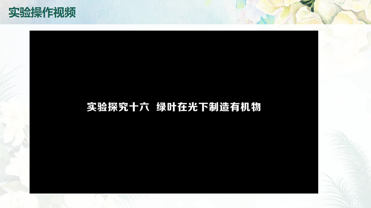 18216019第7页