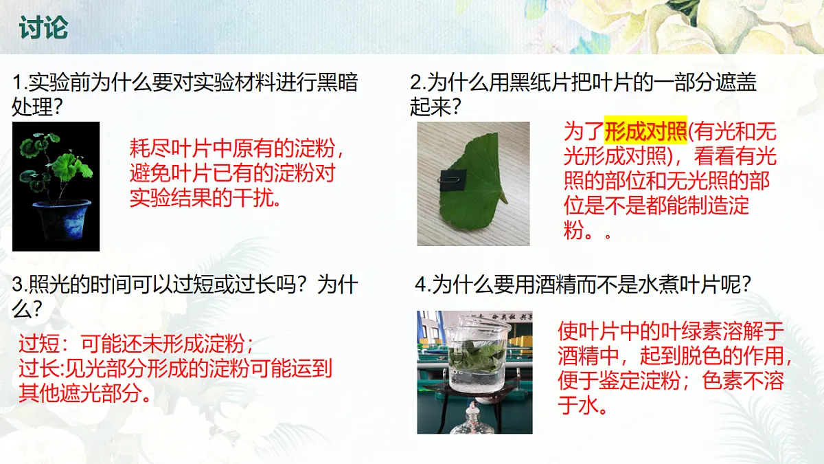 18216019第8页