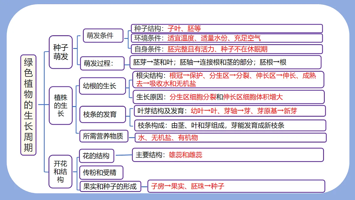18216020第2页