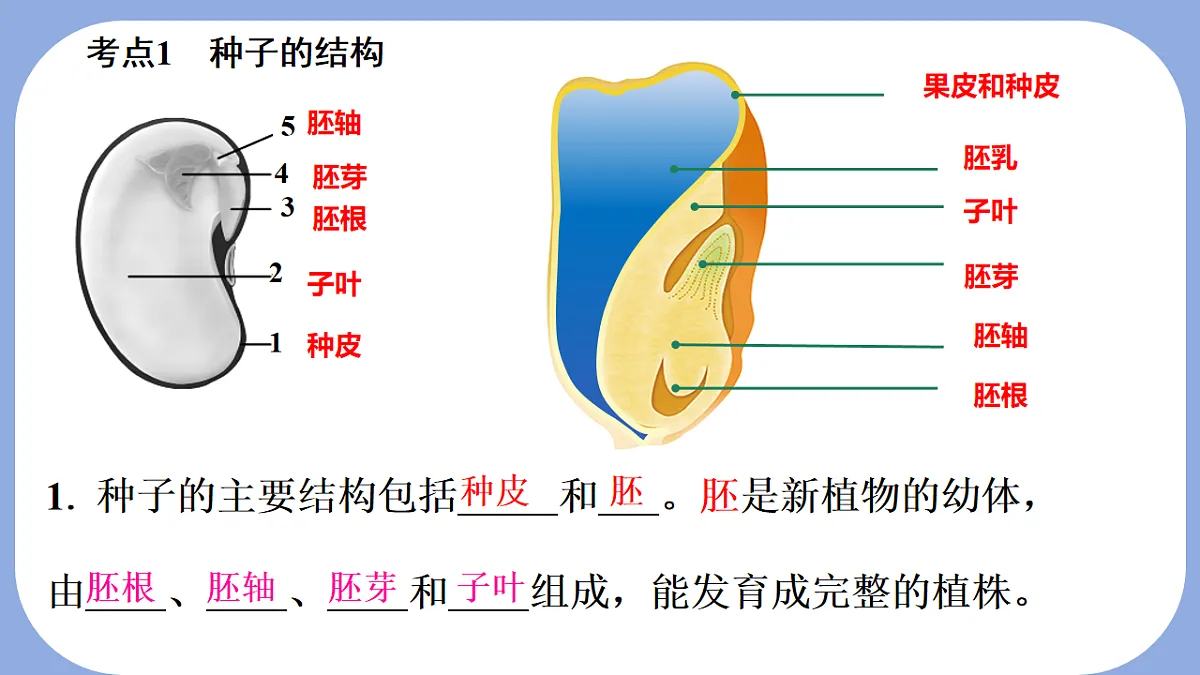 18216020第3页
