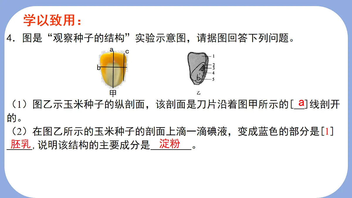 18216020第5页
