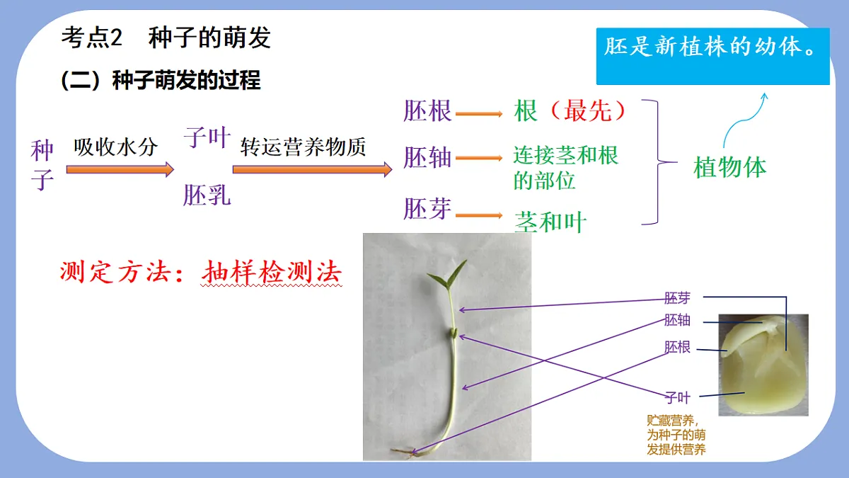 18216020第8页