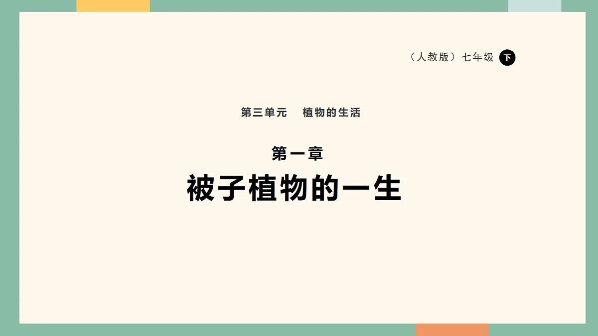 18216037第1页