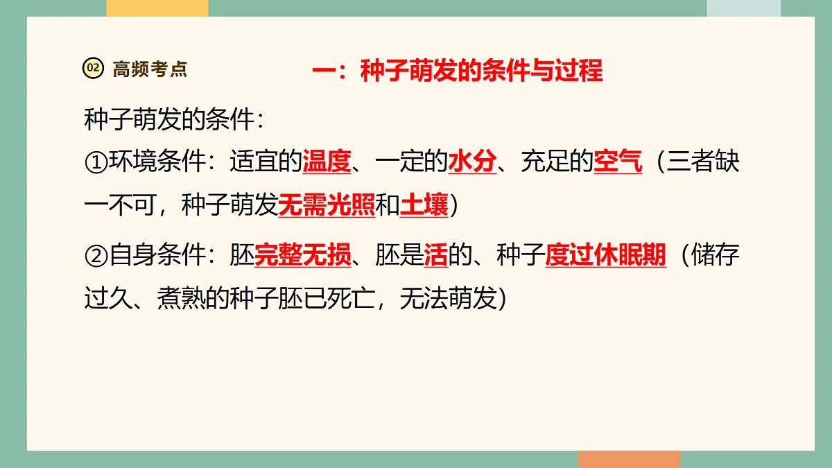 18216037第4页