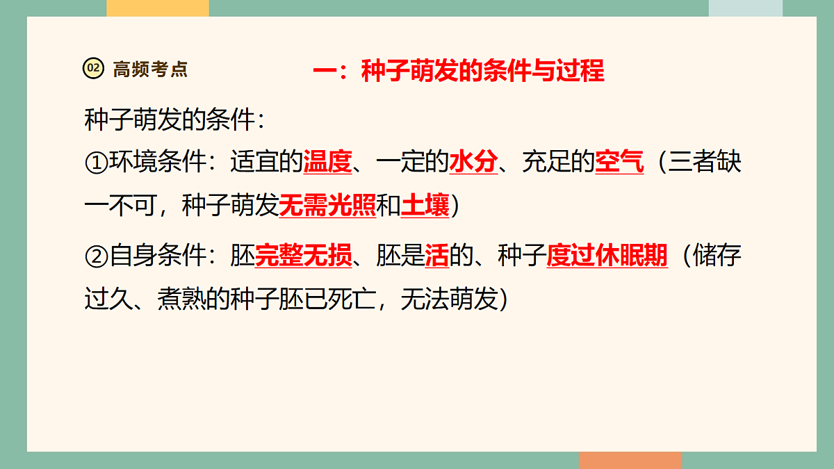 18216037第4页